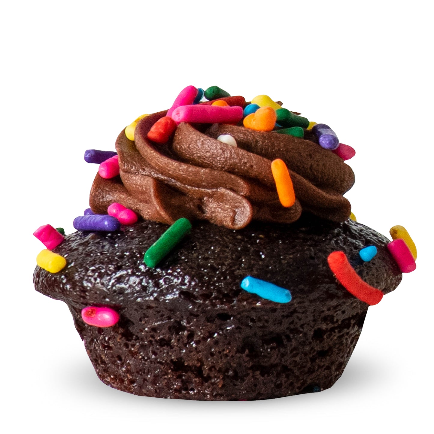 Chocolate & Sprinkles Cupcake