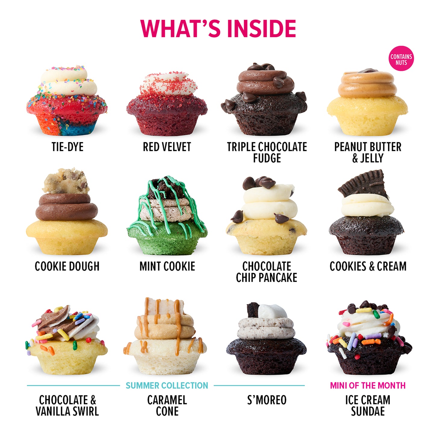 Latest & Greatest Cupcakes 100-Pack