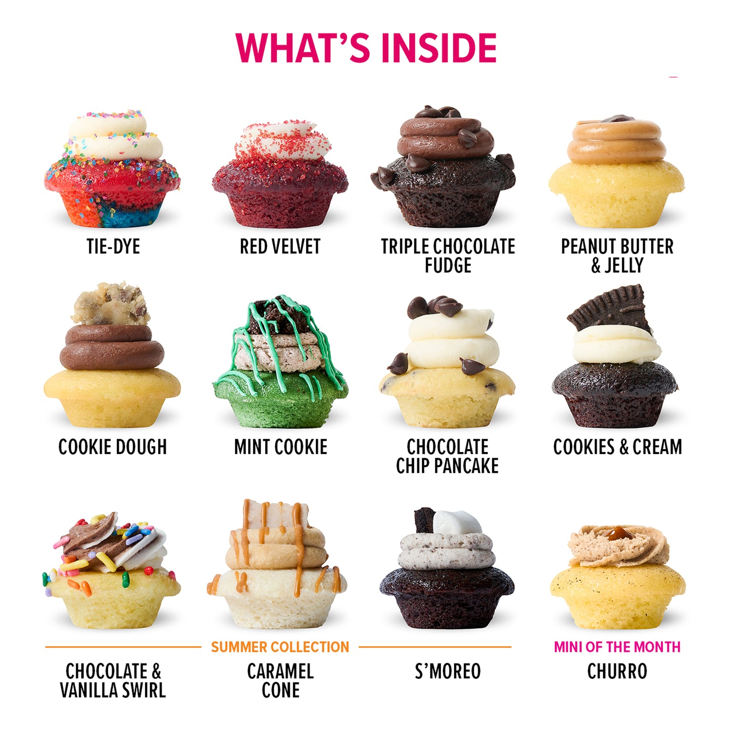 NYC Tourist Cupcakes 25-Pack