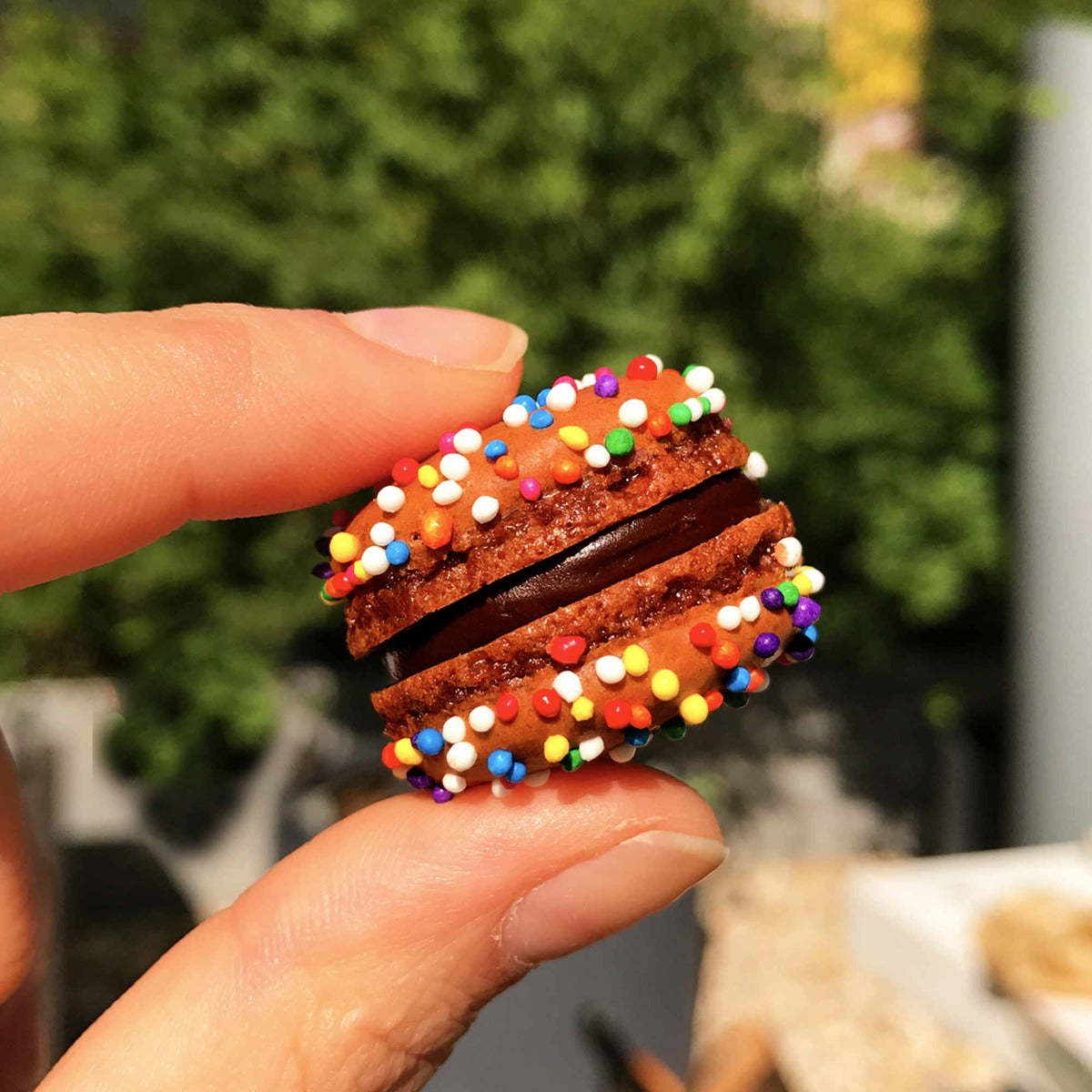 The Mac Macarons