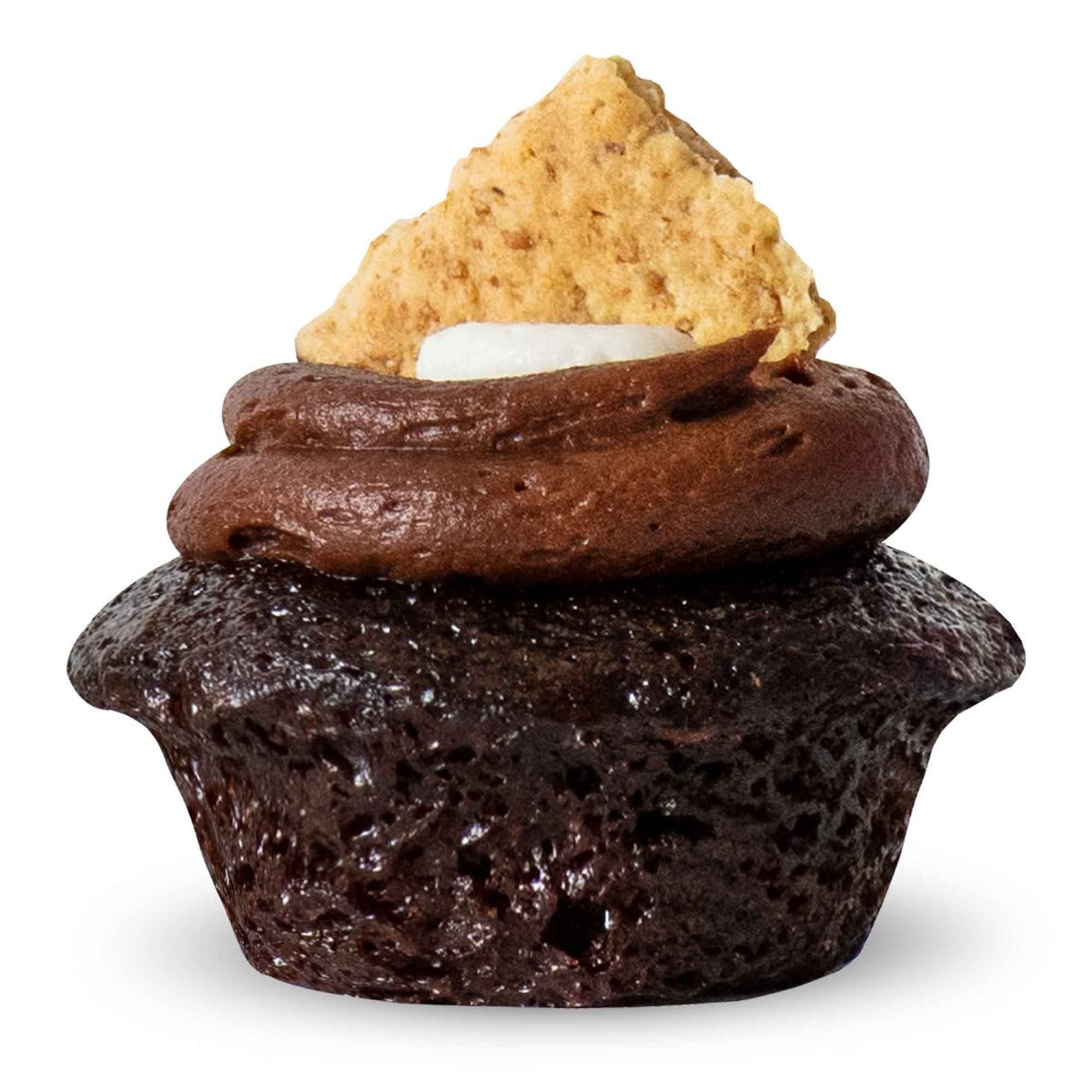 S'mores Cupcake