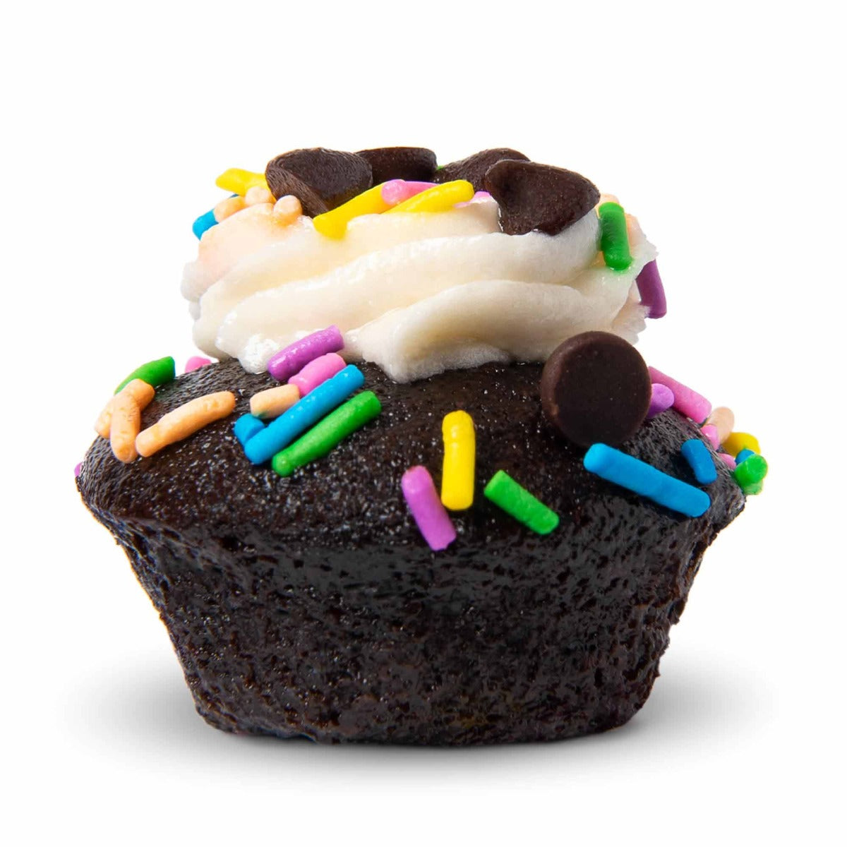 Vegan Chocolate Vanilla Chip Cupcake