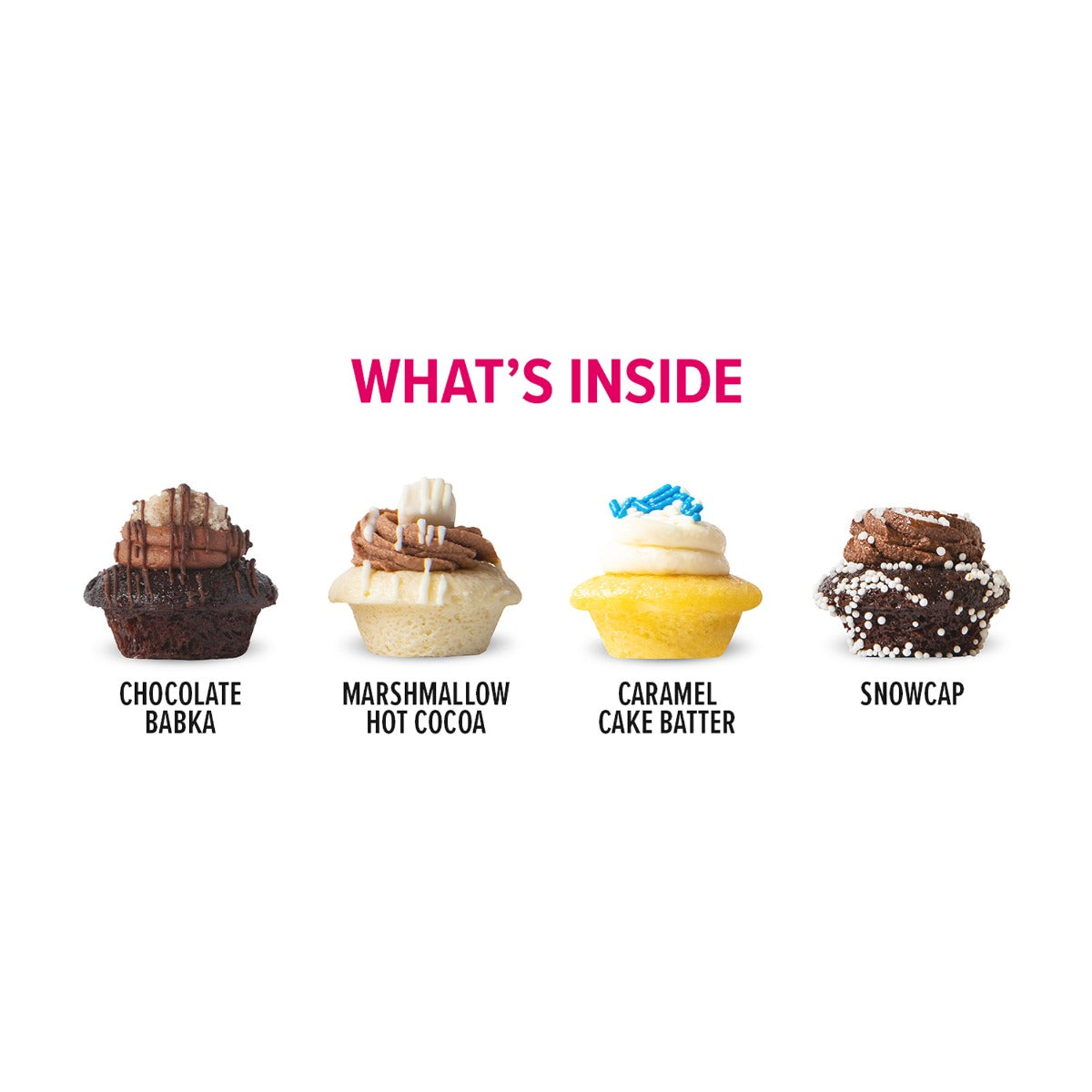 Festival of Bites Cupcakes 25-Pack