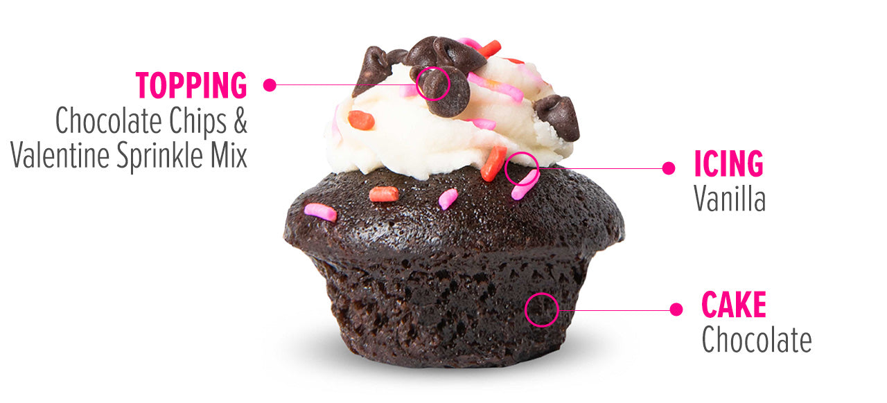 Vegan Chocolate Vanilla Chip Cupcake