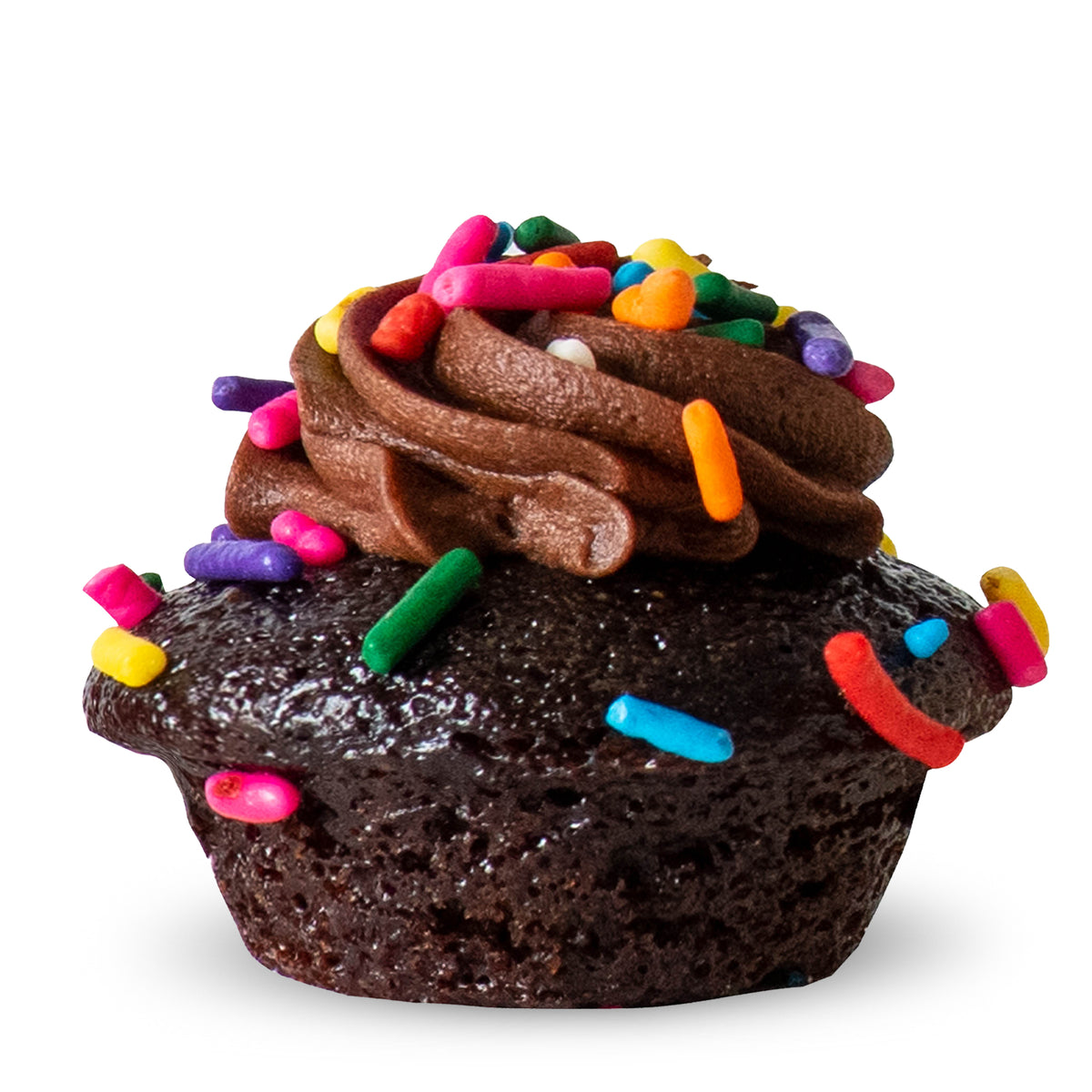 Chocolate & Sprinkles Cupcake – Baked by Melissa