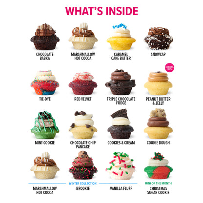 Holiday Latest & Greatest Gift Box 25-Pack