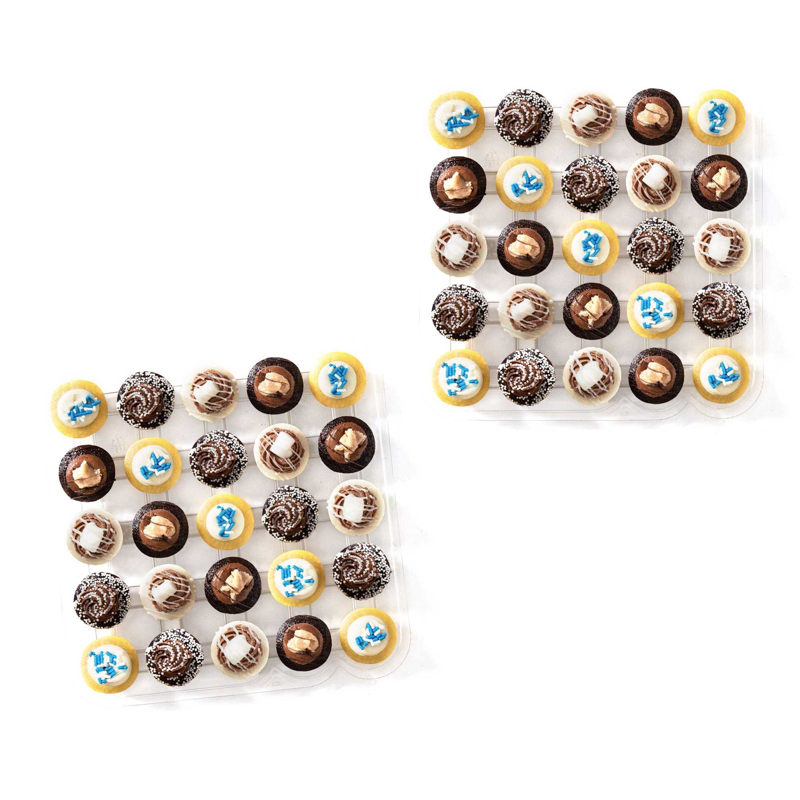 Festival of Bites Cupcakes 50-Pack