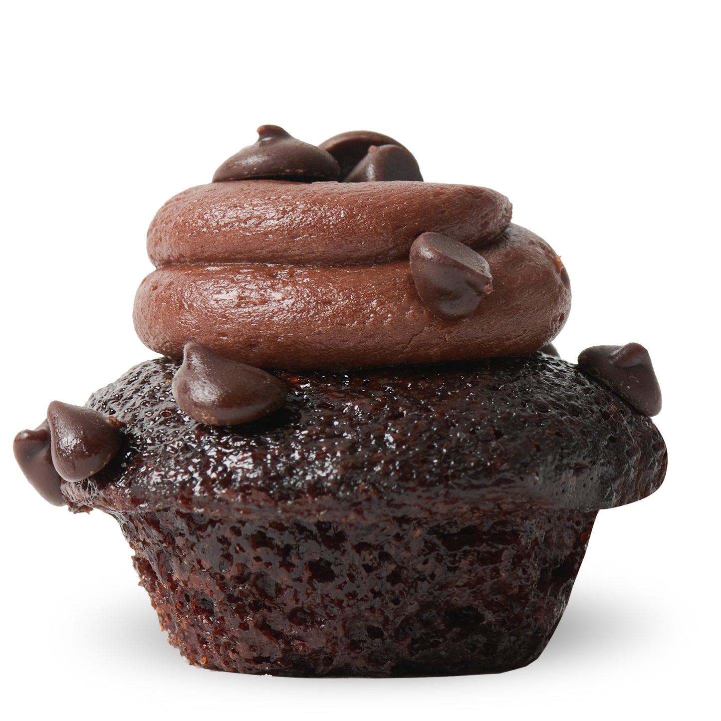 Triple Chocolate Fudge Cupcake
