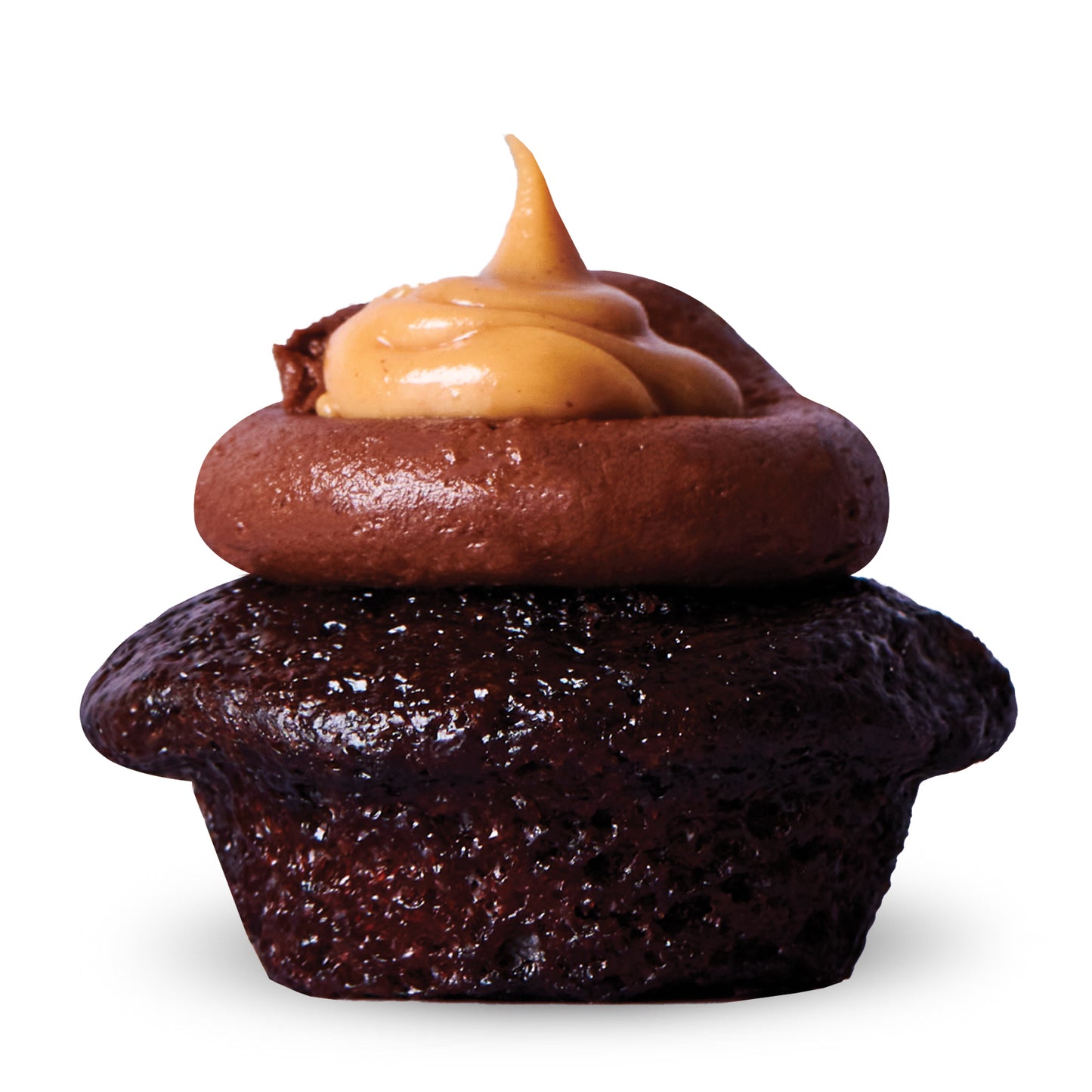 Dark Chocolate Peanut Butter Cupcake