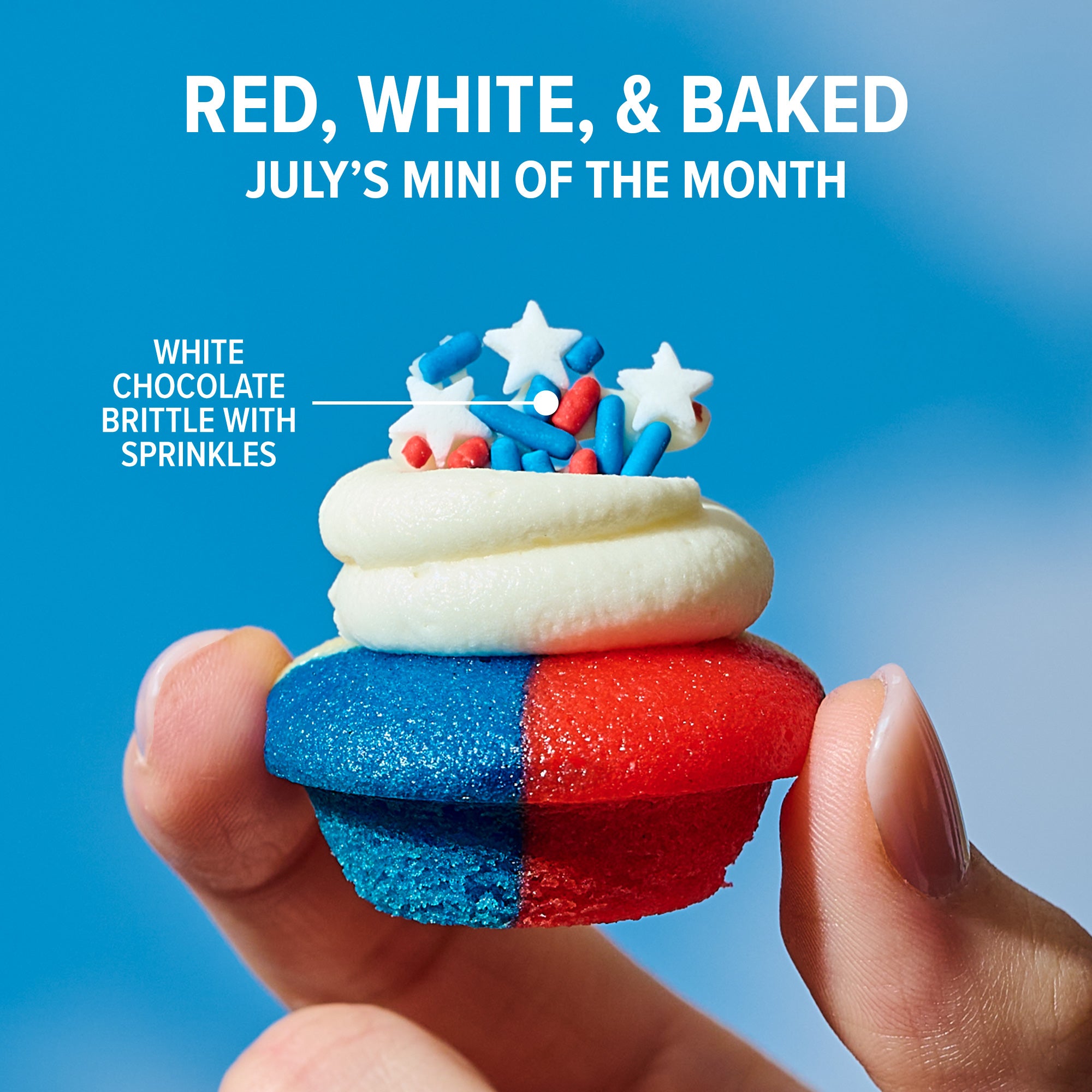 Latest & Greatest Bite-Size Cupcakes | Desserts Shipped Nationwide