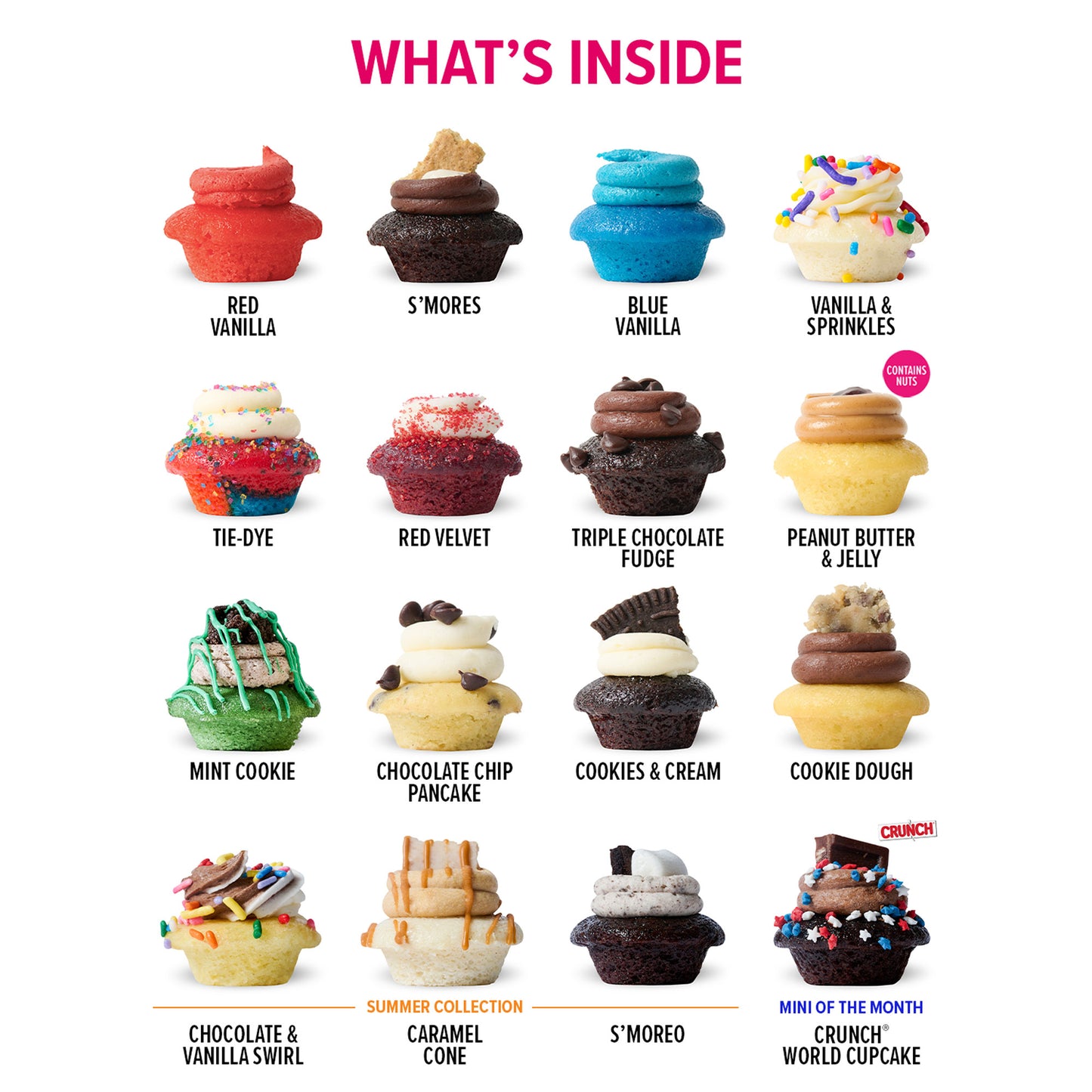Party In The USA Cupcakes 100-Pack