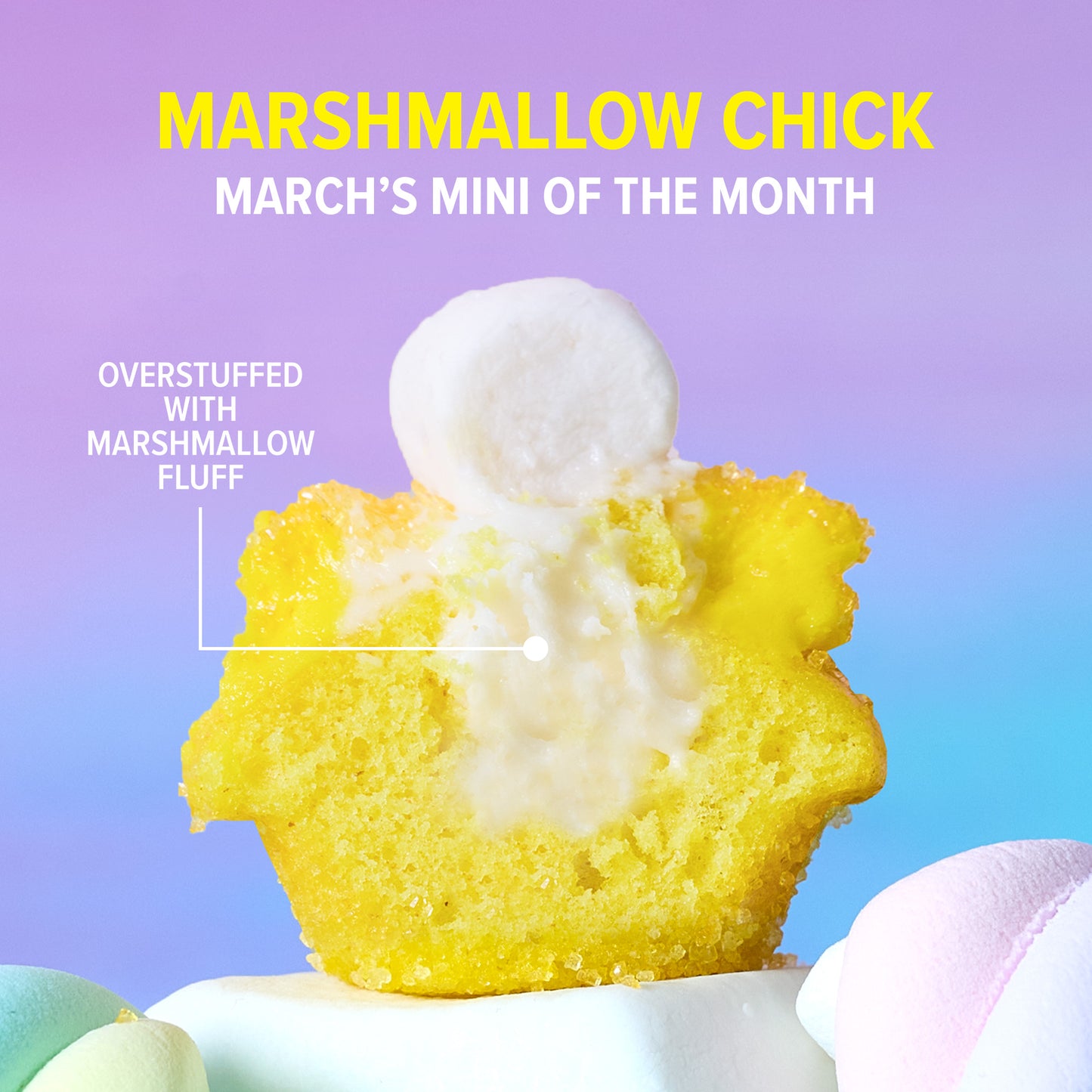 Latest & Greatest Cupcakes