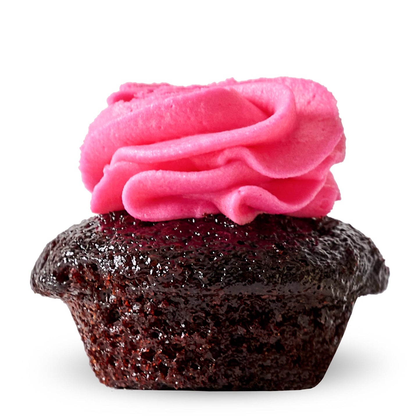 Chocolate Rose Cupcake