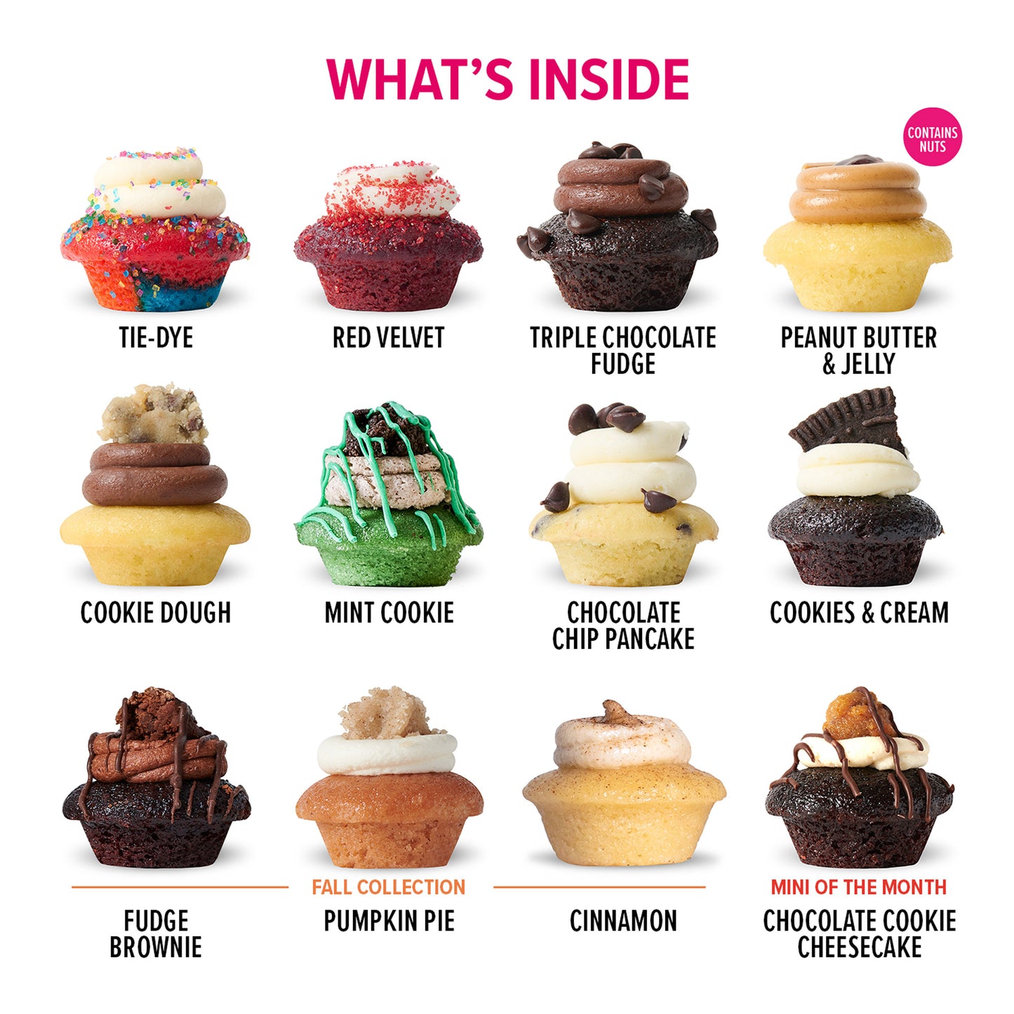 Birthday Gift Box 25-Pack w/ Latest & Greatest Cupcakes