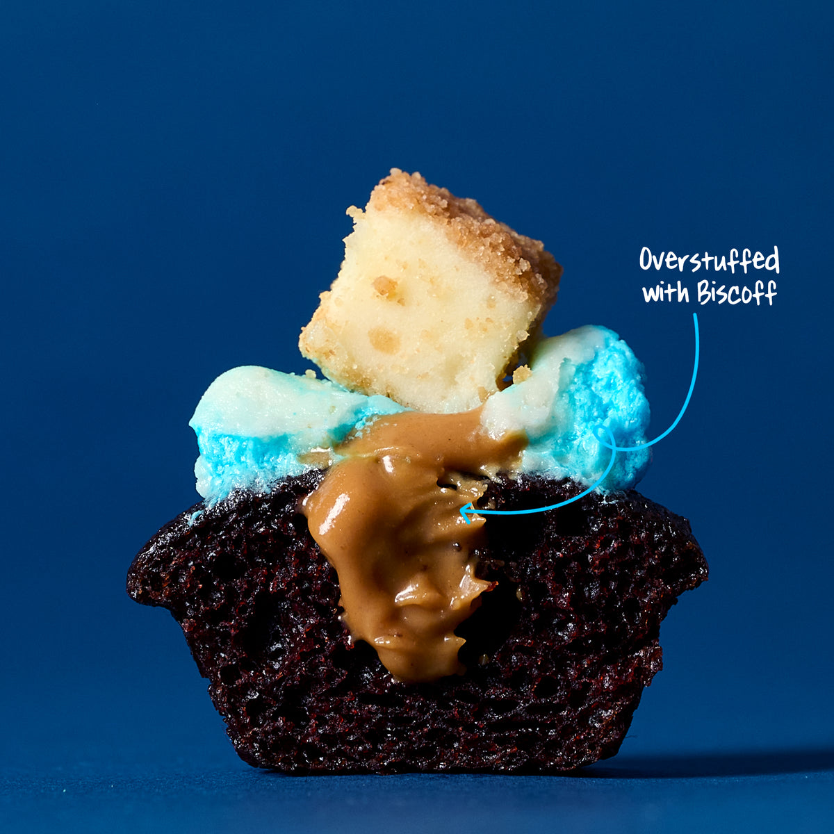 Festival of Bites Cupcakes
