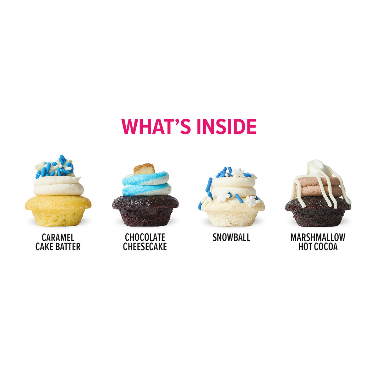 Festival of Bites Cupcakes