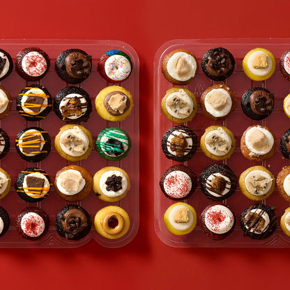 All the Flavors Cupcakes 50-Pack