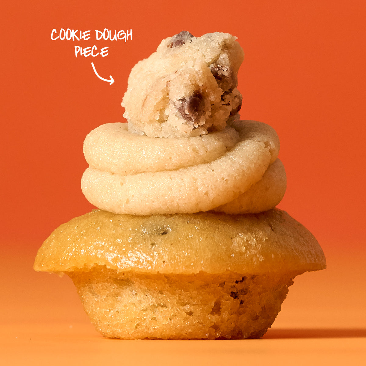 Fall Favorites Cupcakes