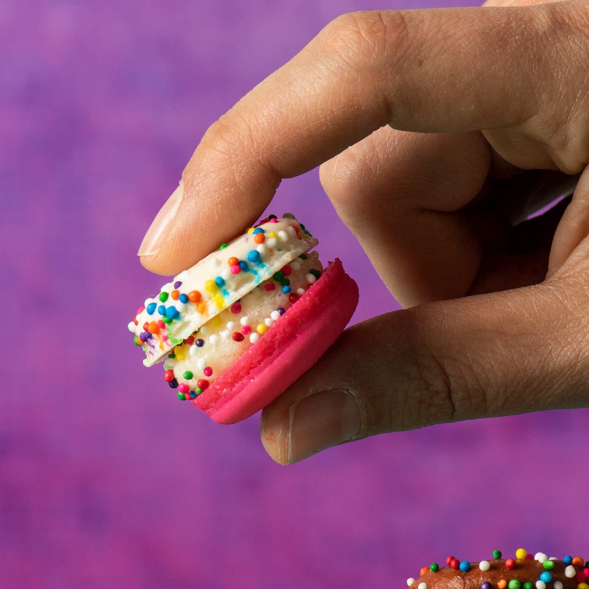 The Mac Macarons 100-Pack