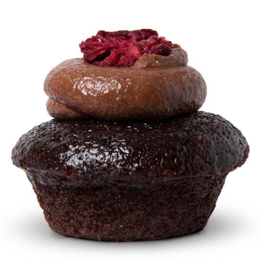 Chocolate Raspberry Cupcake
