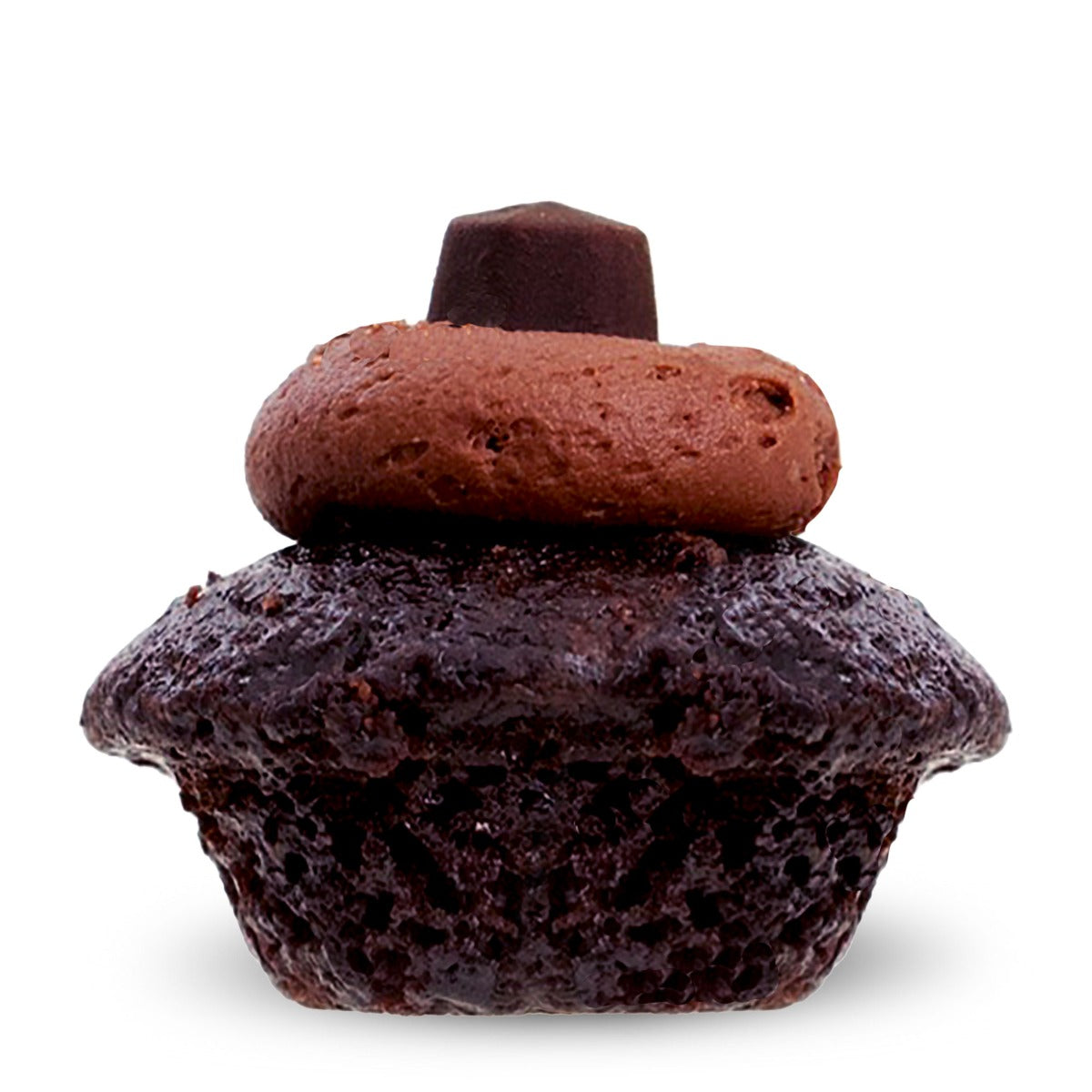 Vegan Triple Chocolate Chip Cupcake