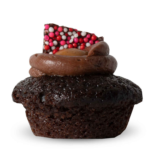 Salty Chocolate Caramel Cupcake