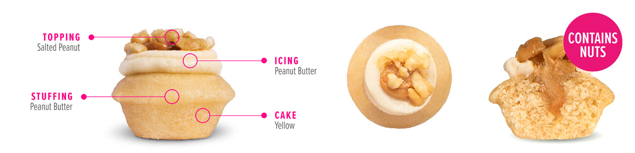 Vegan Peanut Butter Cupcake