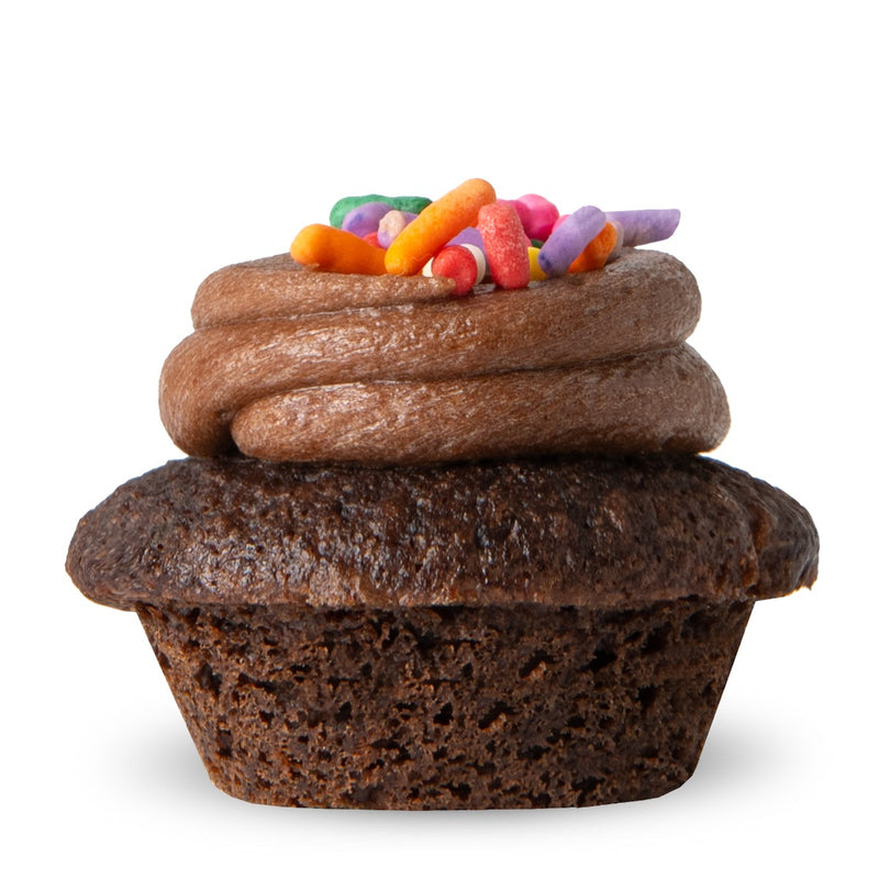 Party Favor Cupcakes 3-Pack Assortment #2