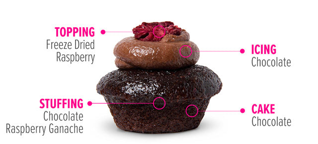 Chocolate Raspberry Cupcake