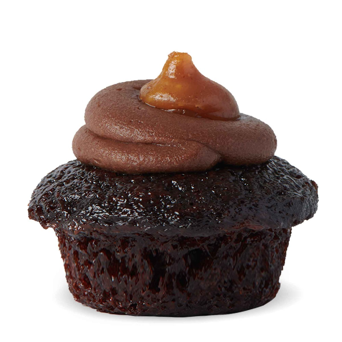 Chocolate Peanut Butter Cupcake