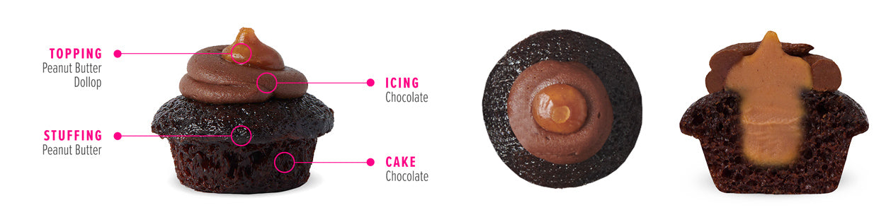 Chocolate Peanut Butter Cupcake