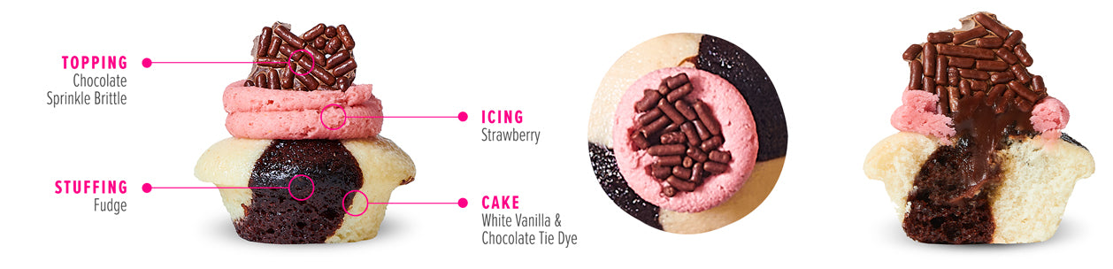 Back to School Cupcakes 3-Pack (Bundle of 12)