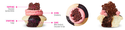 Back to School Cupcakes 3-Pack (Bundle of 12)