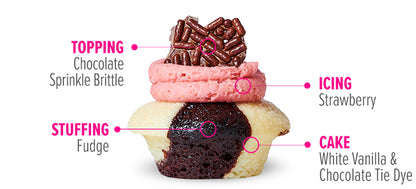 Back to School Cupcakes 3-Pack (Bundle of 12)