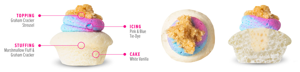 Tie-Dye S'mores Cupcake
