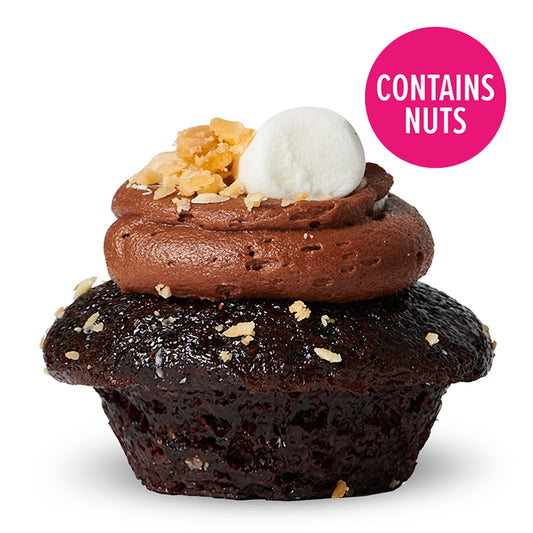 Rocky Road Cupcake