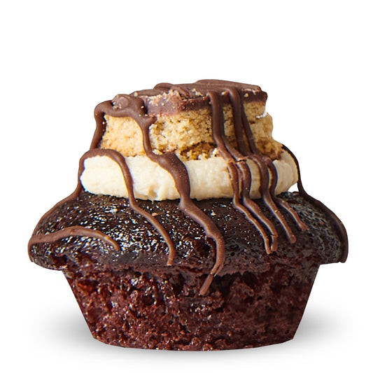 Chocolate Covered Graham Cracker Cupcake