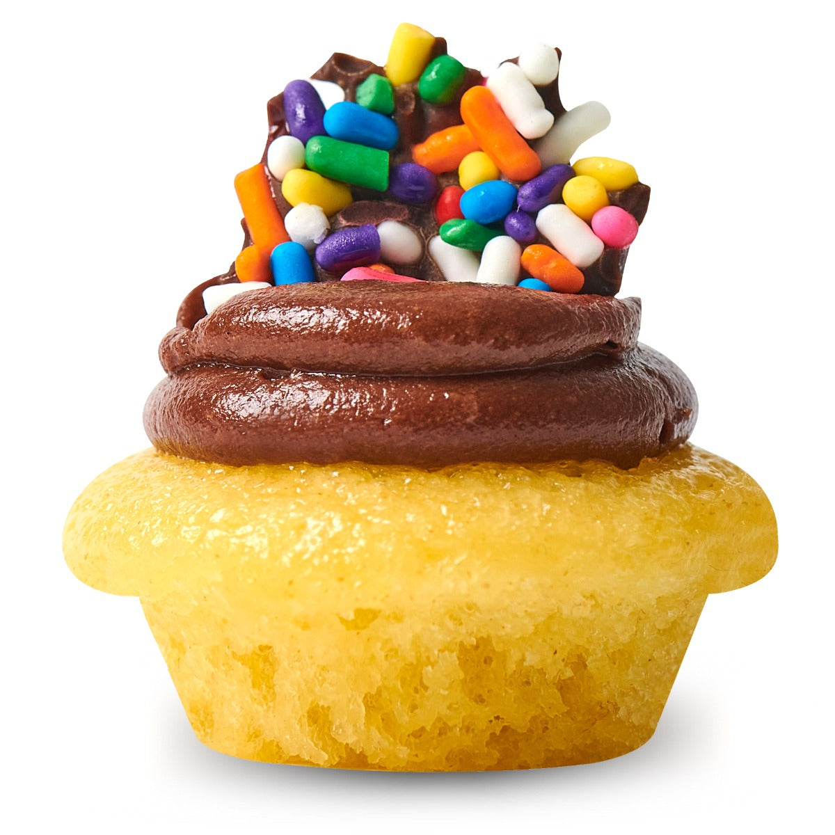 Birthday Cake Cupcake