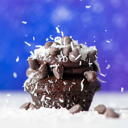 Vegan Holiday Gift Box 25-Pack