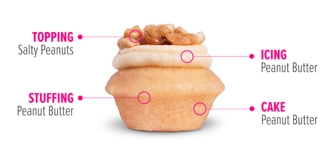 Vegan Peanut Butter Cupcake Flavor Breakdown: Peanut Butter Cake, Peanut Butter Stuffing, Peanut Butter Icing, Salted Peanut Topping