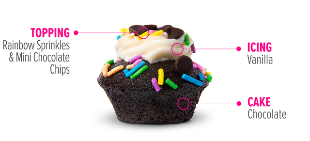 Vegan Chocolate Vanilla Chip Cupcake Flavor Breakdown: Chocolate Cake, Vanilla Icing, Rainbow & Mini Chocolate Chips Topping