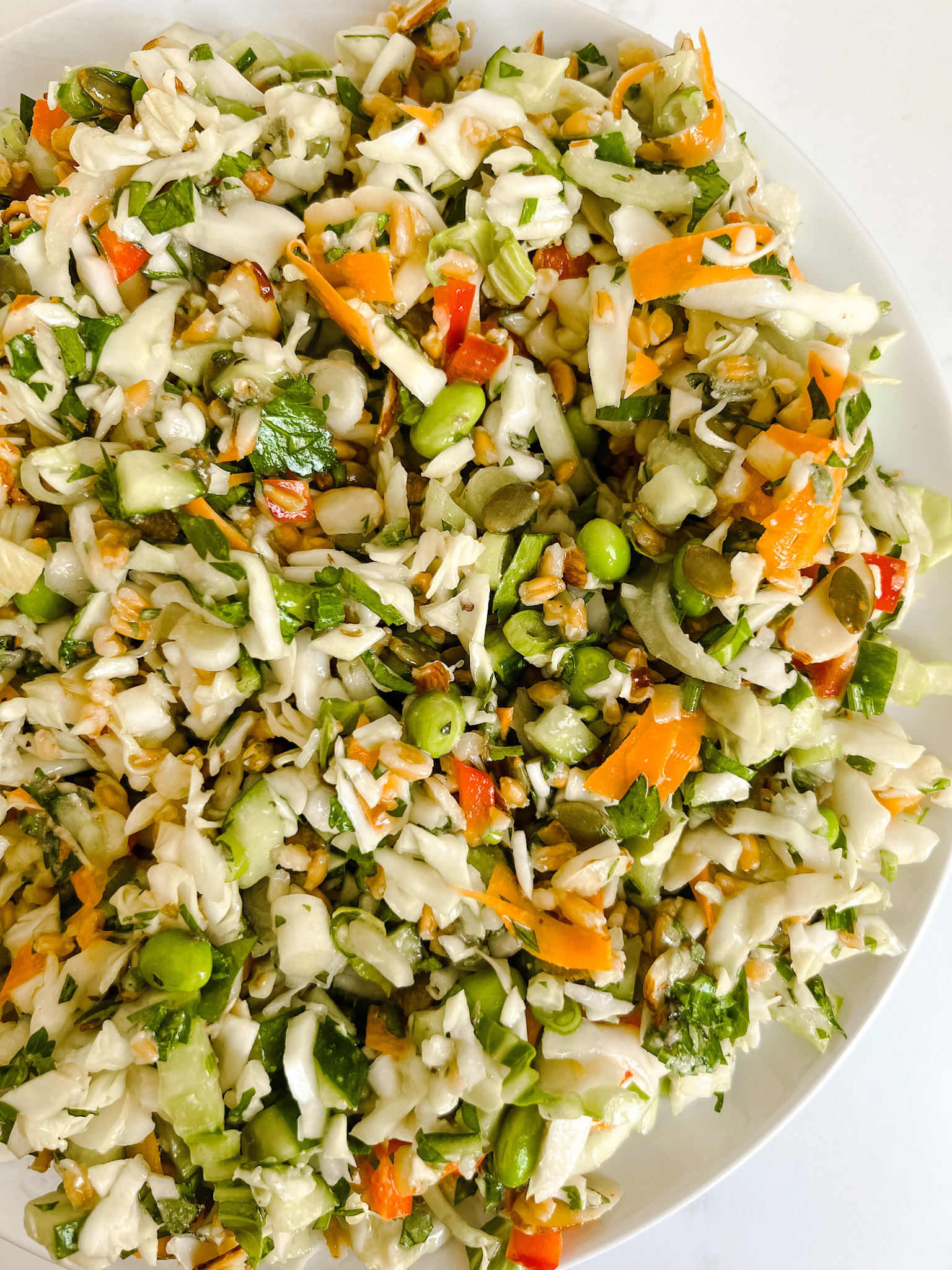 A BIG Make Ahead Salad Baked by Melissa